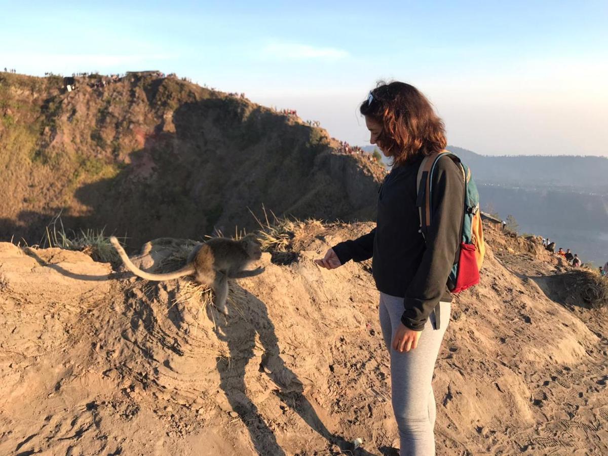 Batur Pyramid Guesthouse Kintamani Exteriér fotografie